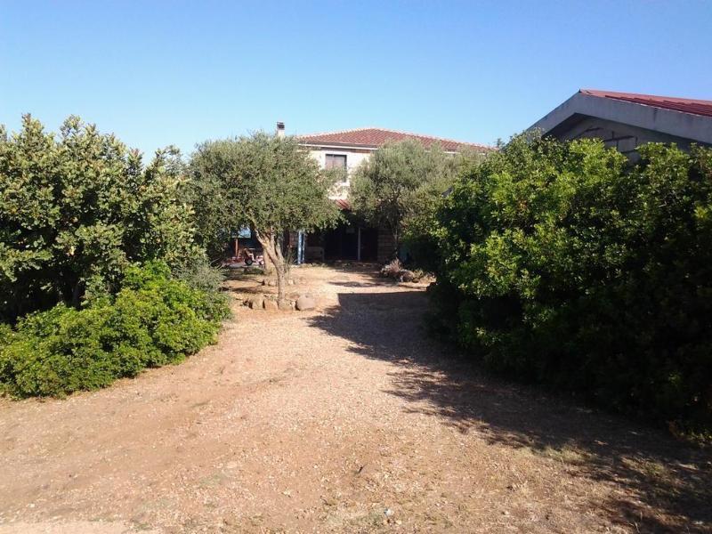 Agriturismo Sa Murta In Sennariolo-Oristano 외부 사진