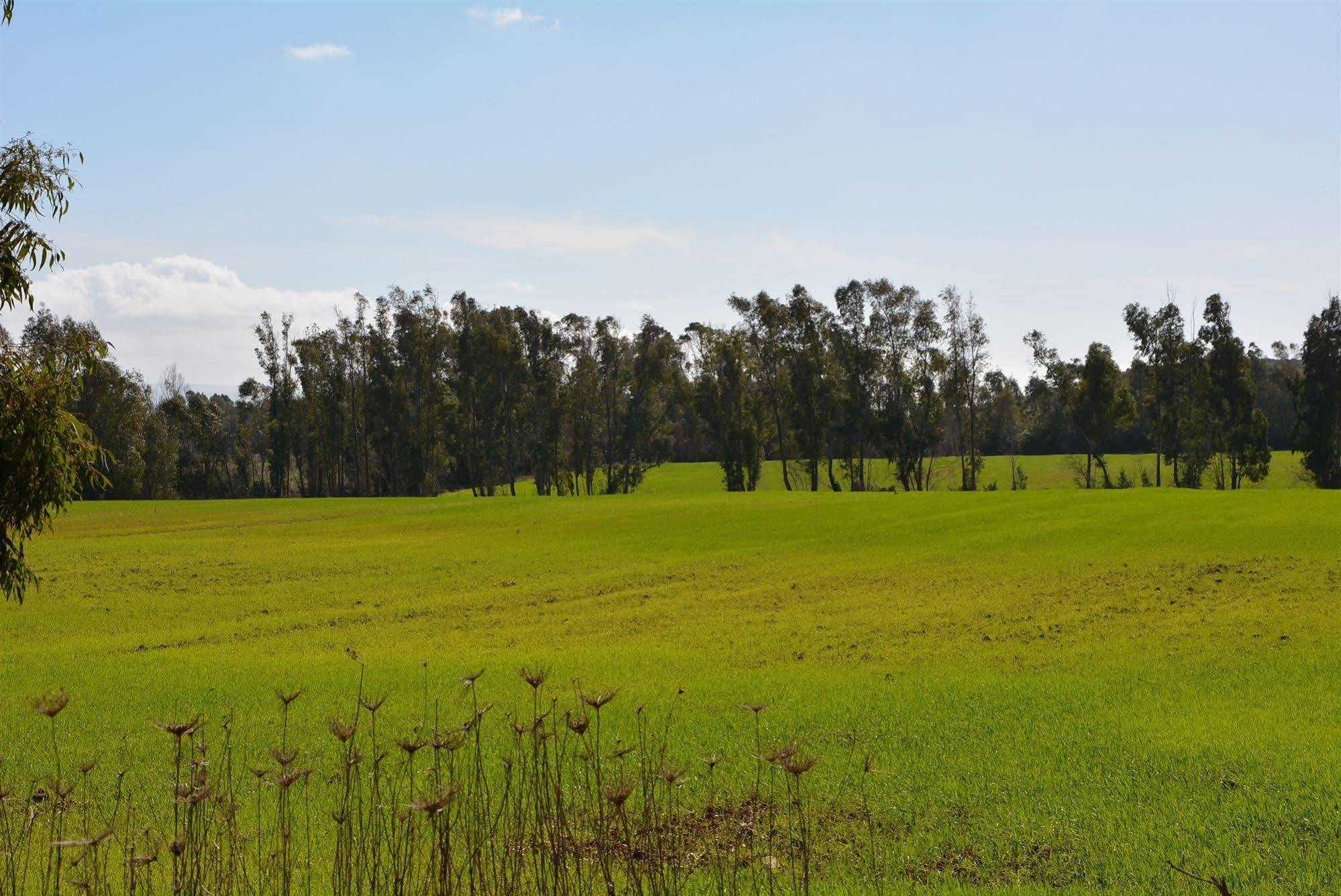 Agriturismo Sa Murta In Sennariolo-Oristano 외부 사진
